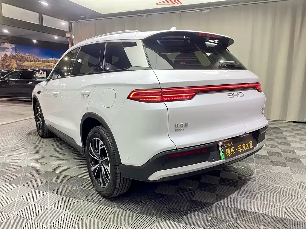 BYD Pro New Energy — фото 5