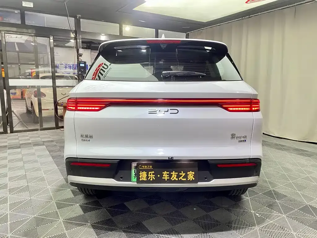 BYD Pro New Energy — фото 6