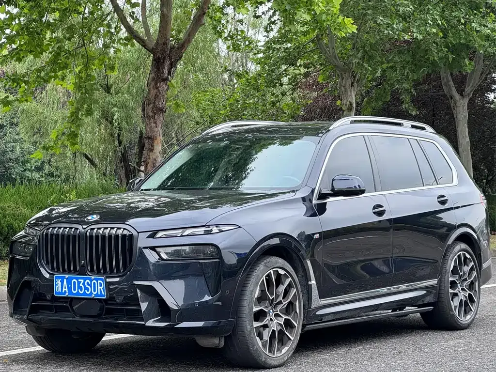 BMW X7 — фото 1
