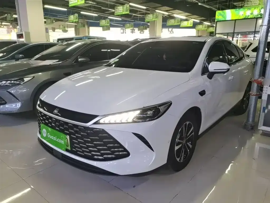 BYD Qin PLUS — фото 1