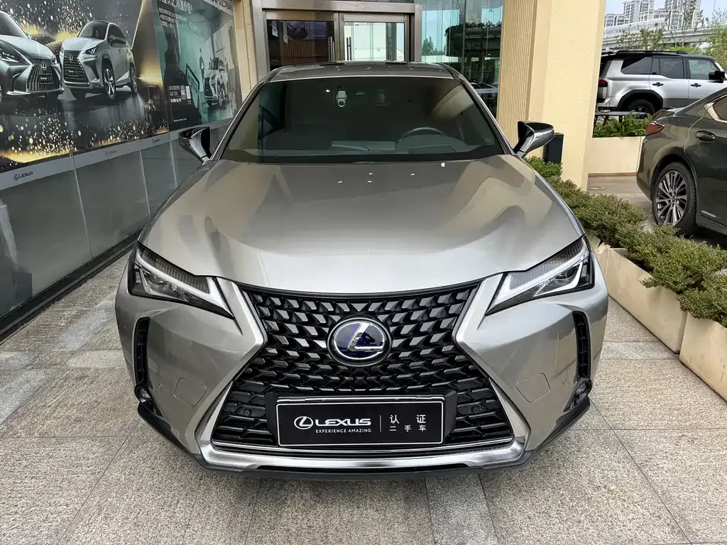 Lexus UX New Energy — фото 4