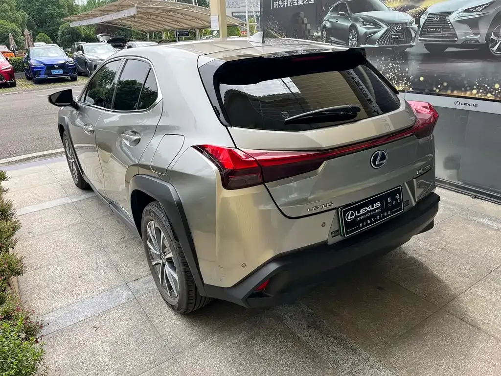 Lexus UX New Energy — фото 9