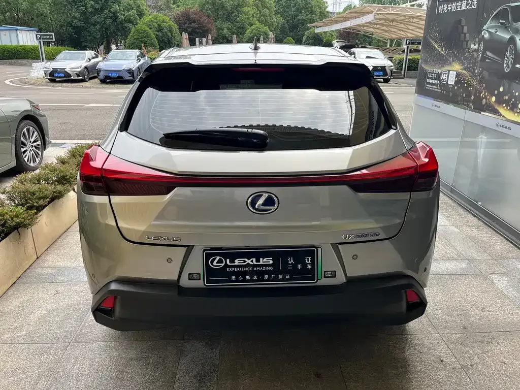 Lexus UX New Energy — фото 7