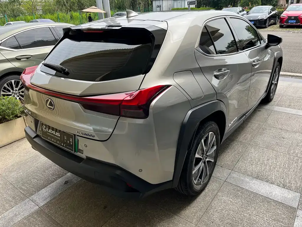 Lexus UX New Energy — фото 6