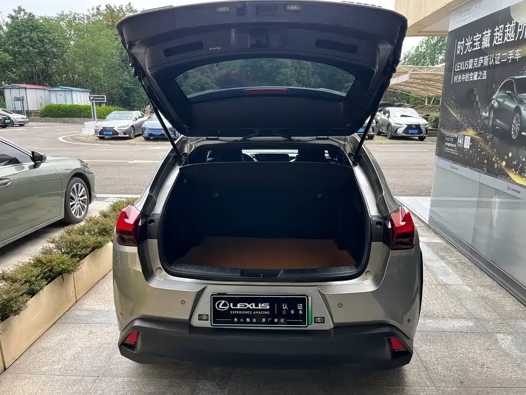 Lexus UX New Energy — фото 8