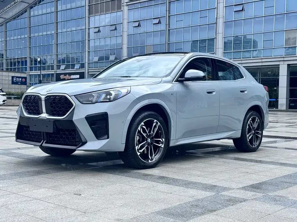 BMW X2 (Import) — фото 1