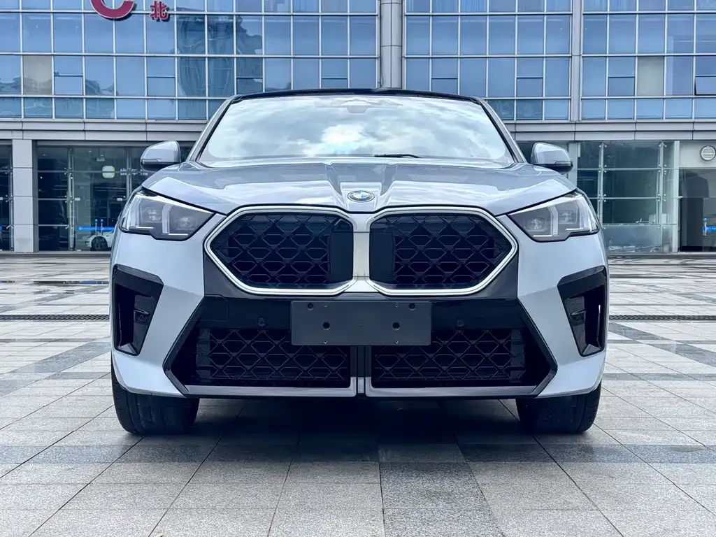 BMW X2 (Import) — фото 6