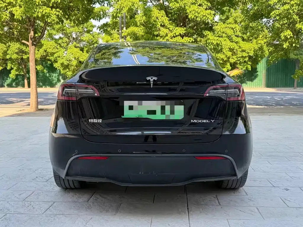 Tesla Model Y — фото 9