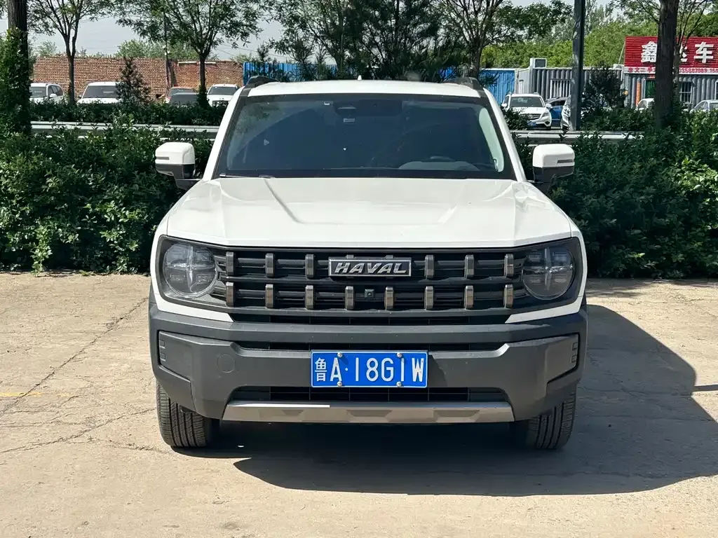 Haval Cool Dog — фото 6