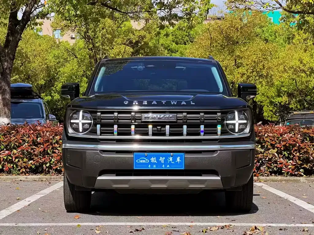 Haval Cool Dog — фото 9
