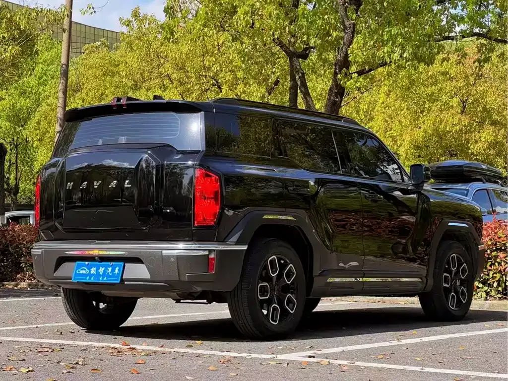 Haval Cool Dog — фото 10