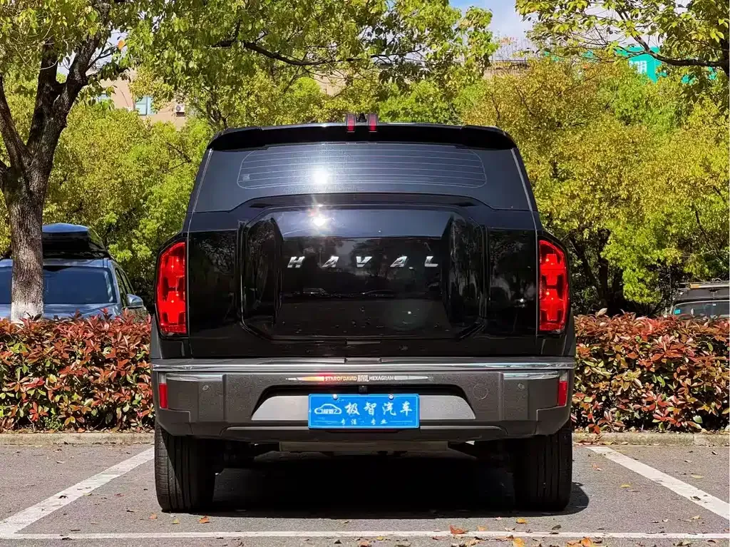 Haval Cool Dog — фото 5
