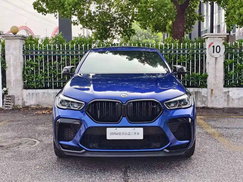 BMW X6 M — фото 9