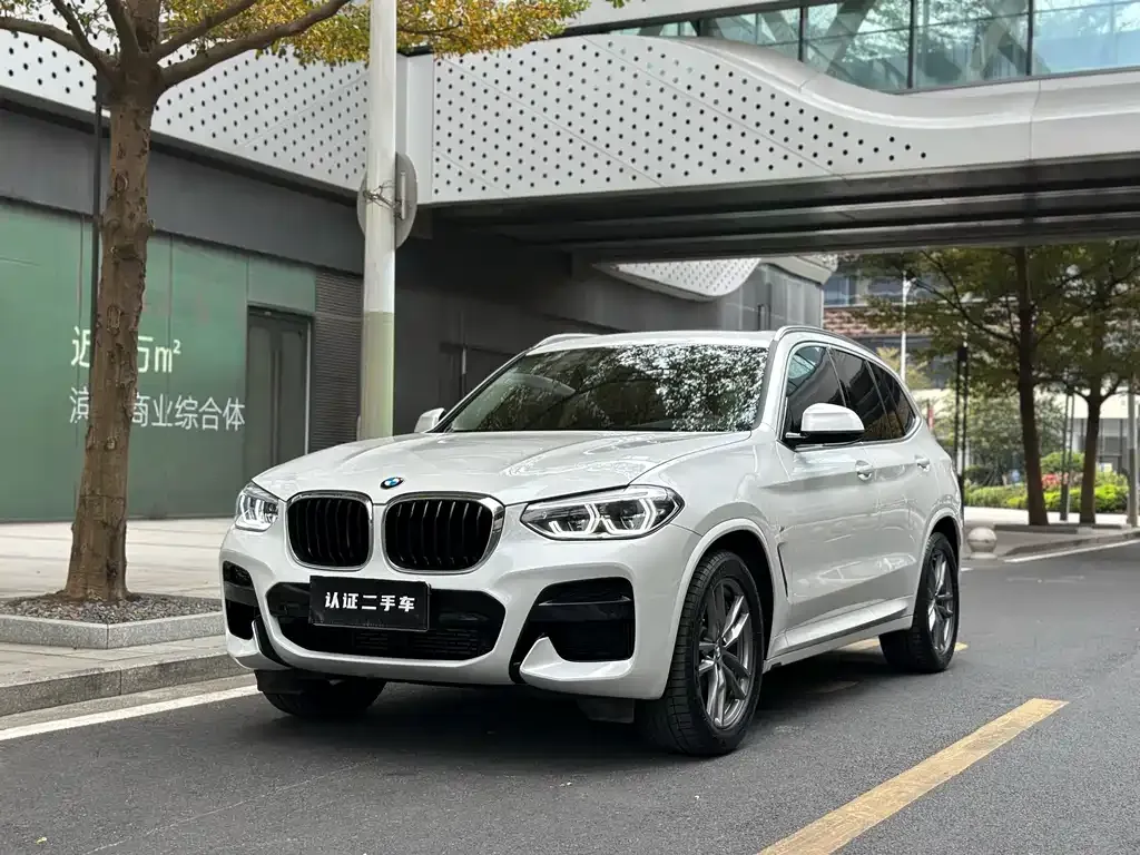 BMW X3 — фото 1