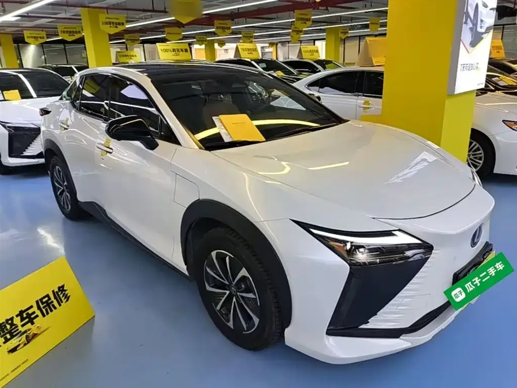Lexus RZ — фото 8