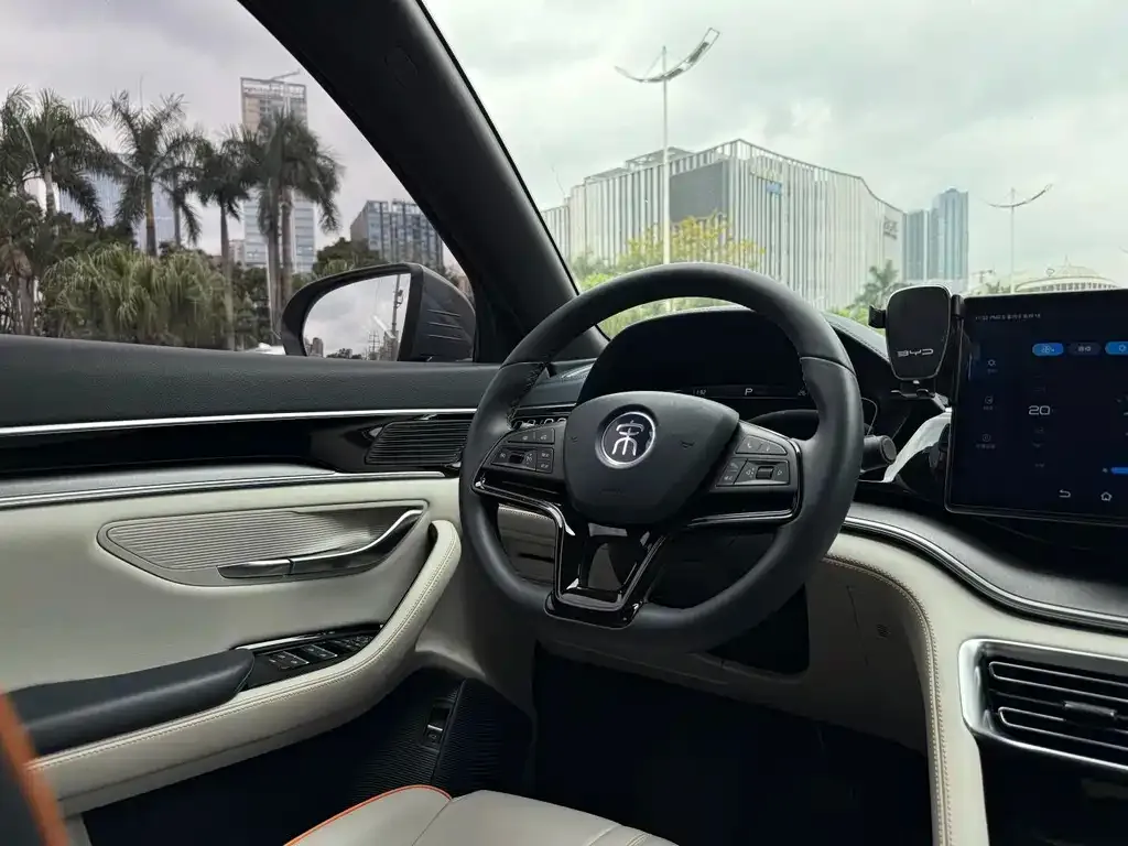 BYD PLUS New Energy — фото 2