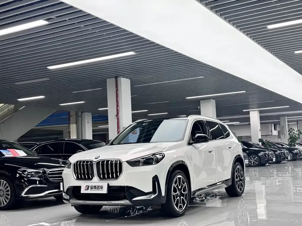 BMW X1 — фото 1