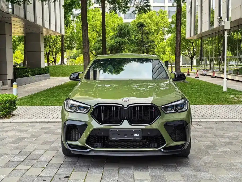 BMW X6 M — фото 10