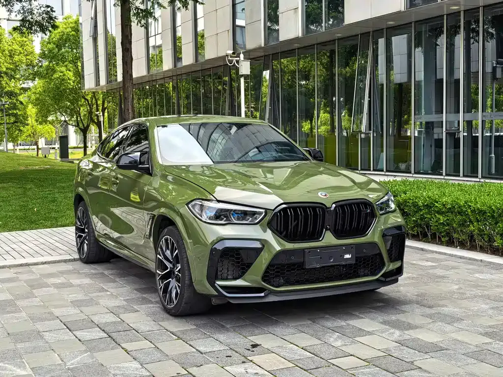 BMW X6 M — фото 9