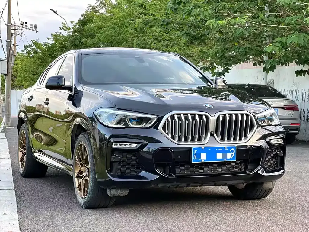 BMW X6 — фото 5