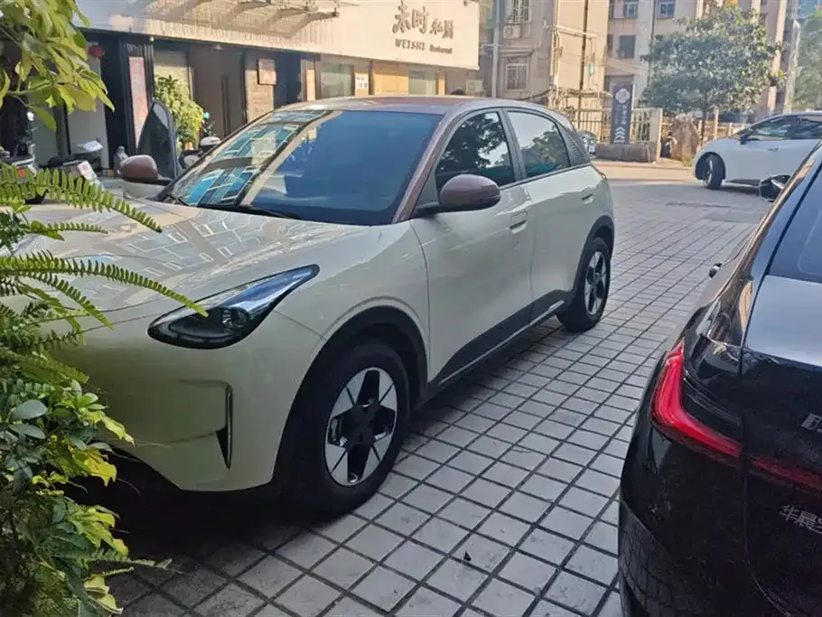 Geely Starburst — фото 10