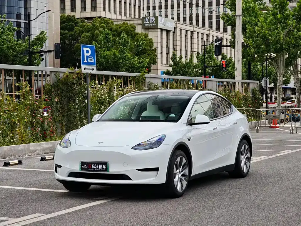 Tesla Model Y — фото 1