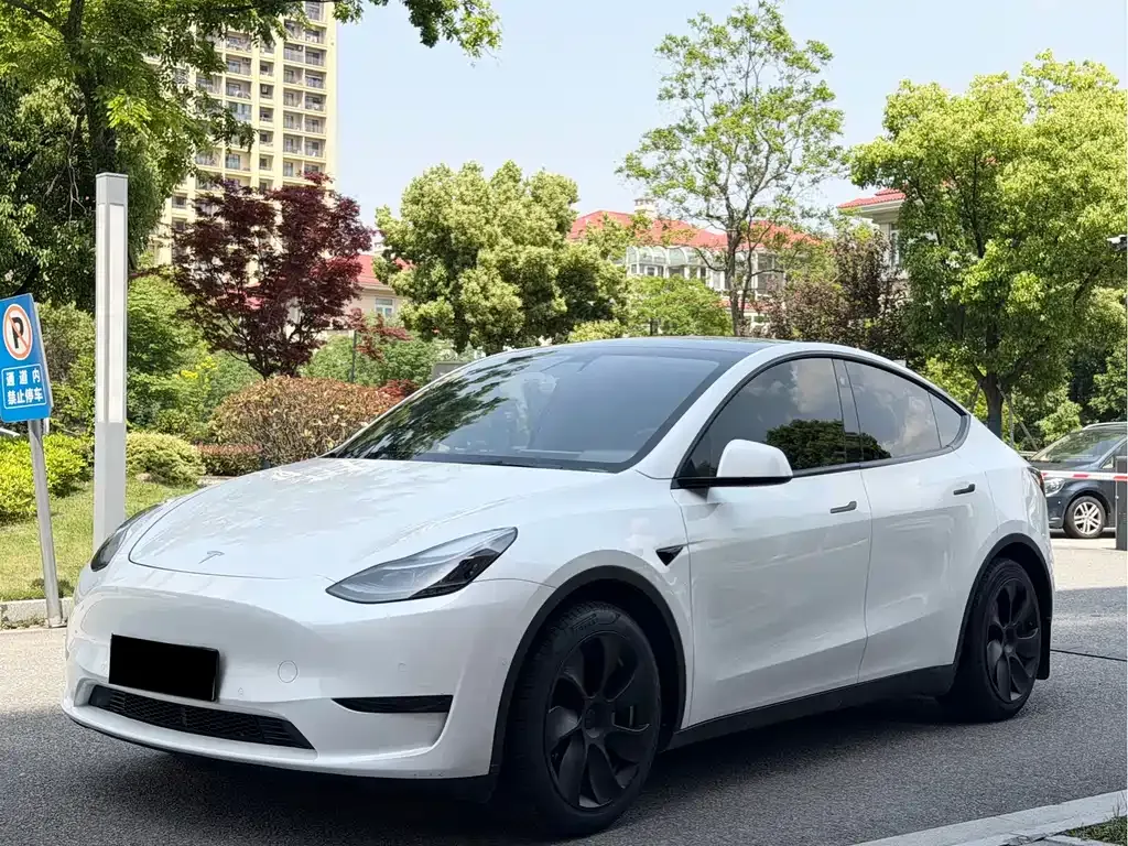 Tesla Model Y — фото 1