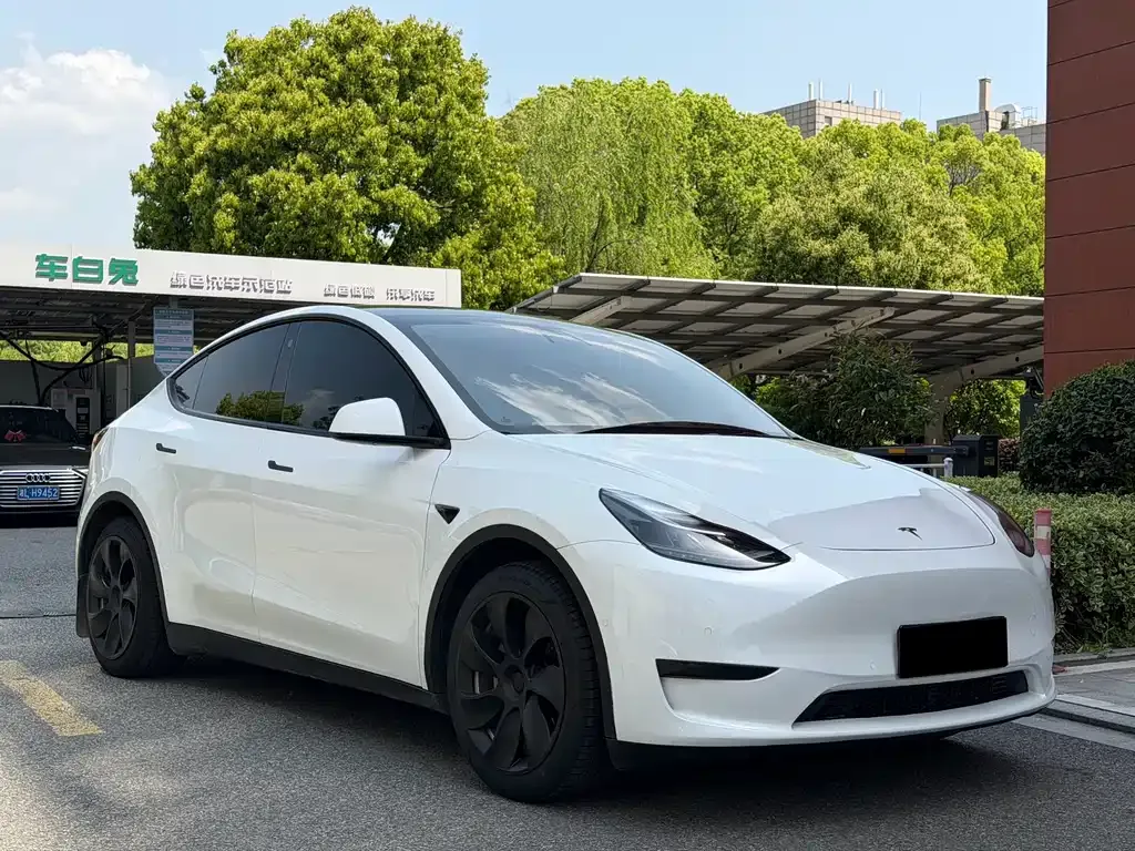 Tesla Model Y — фото 7