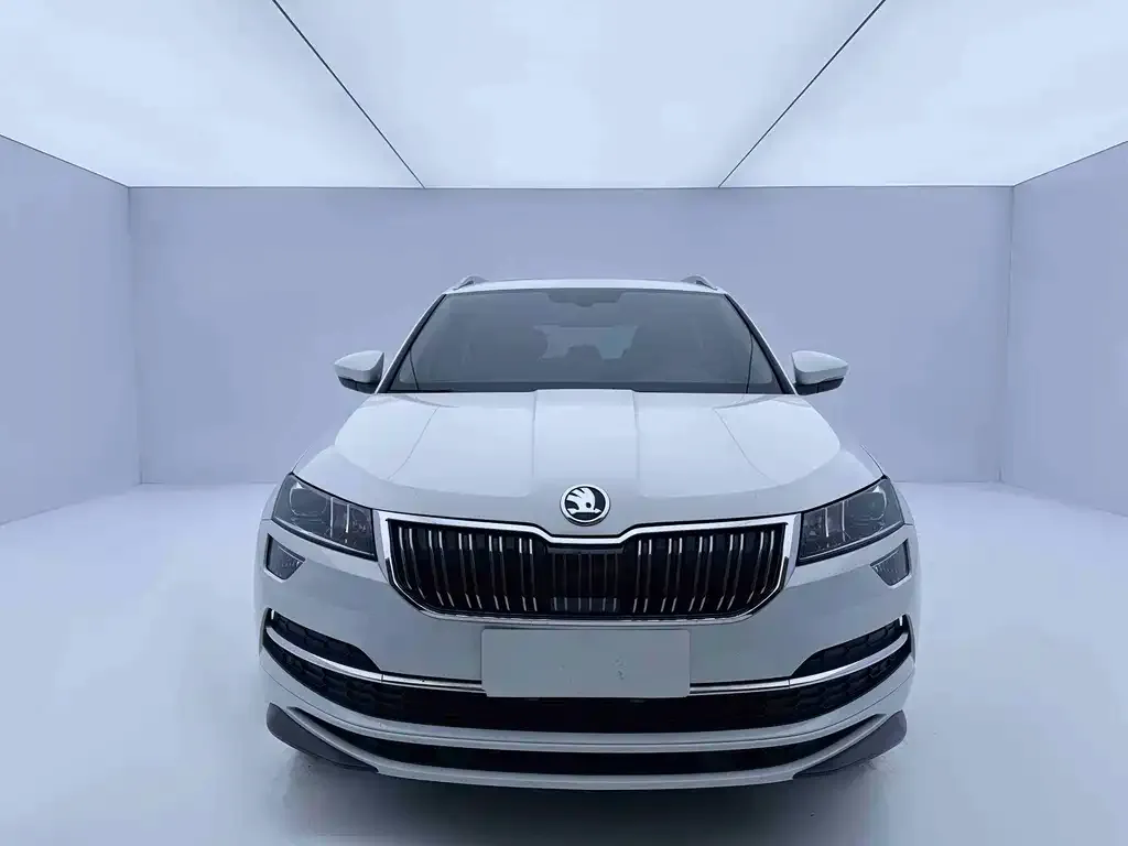Skoda Karoq — фото 5