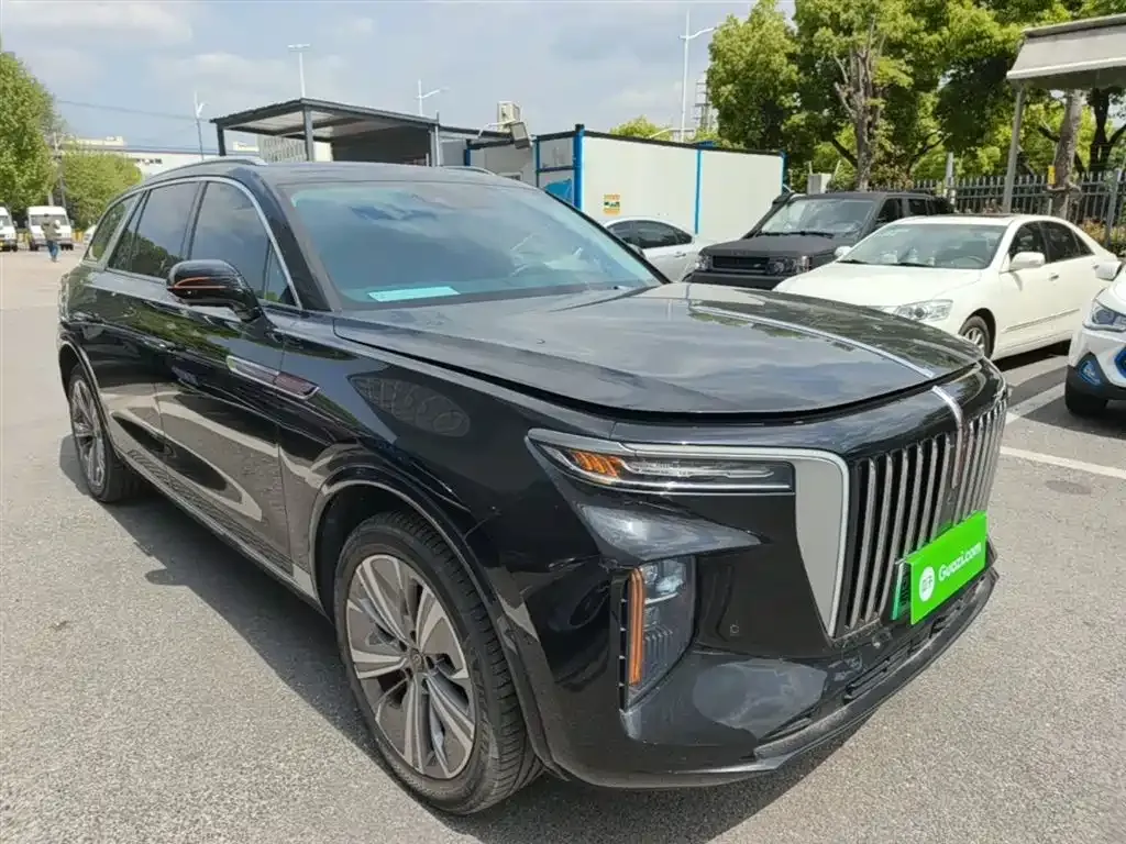 Hongqi E-HS9 — фото 10