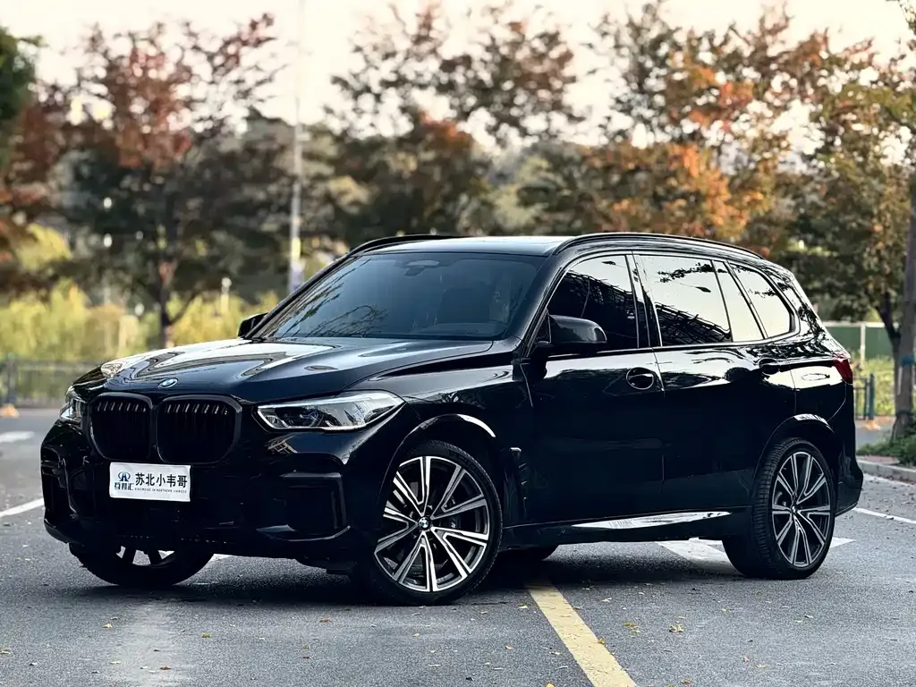 BMW X5 — фото 10