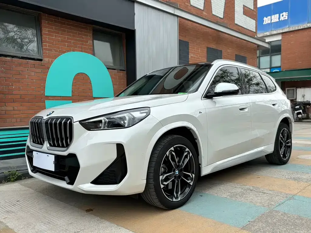 BMW X1 — фото 1