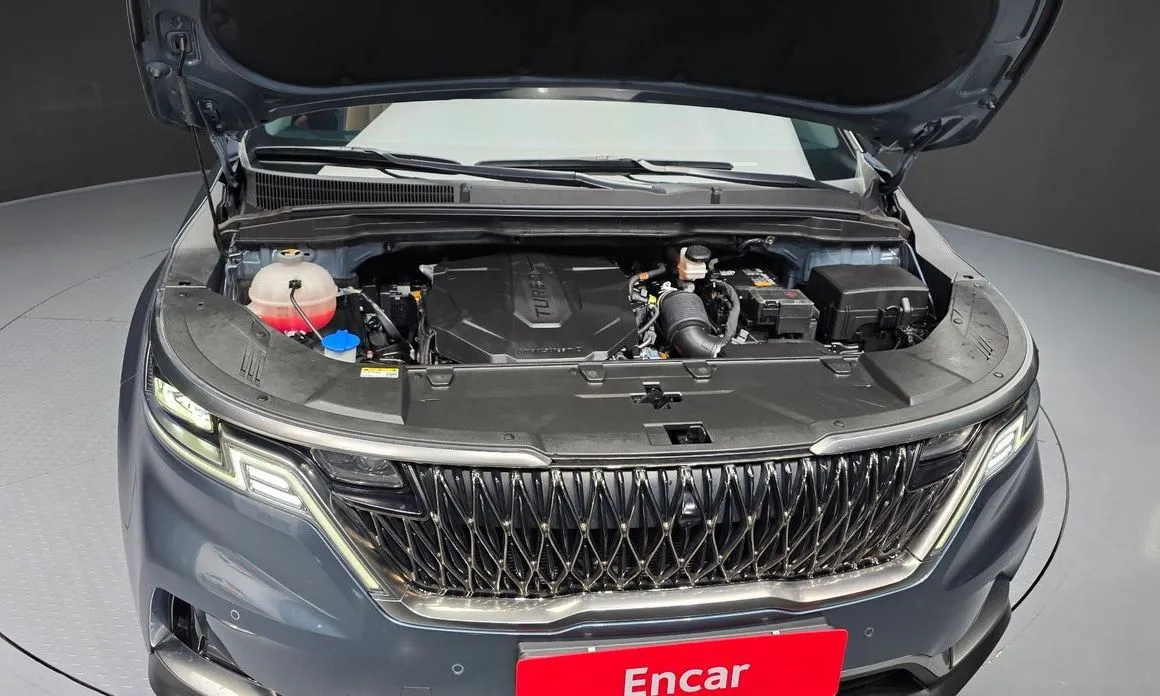 Kia Carnival — фото 10