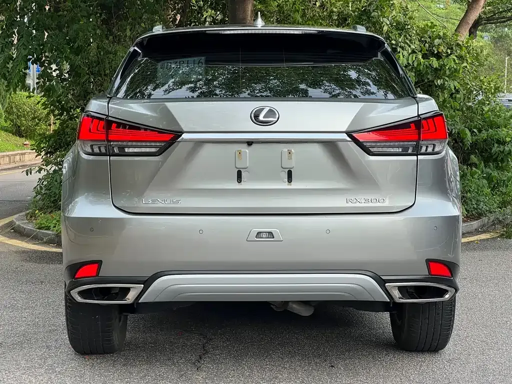 Lexus RX — фото 10
