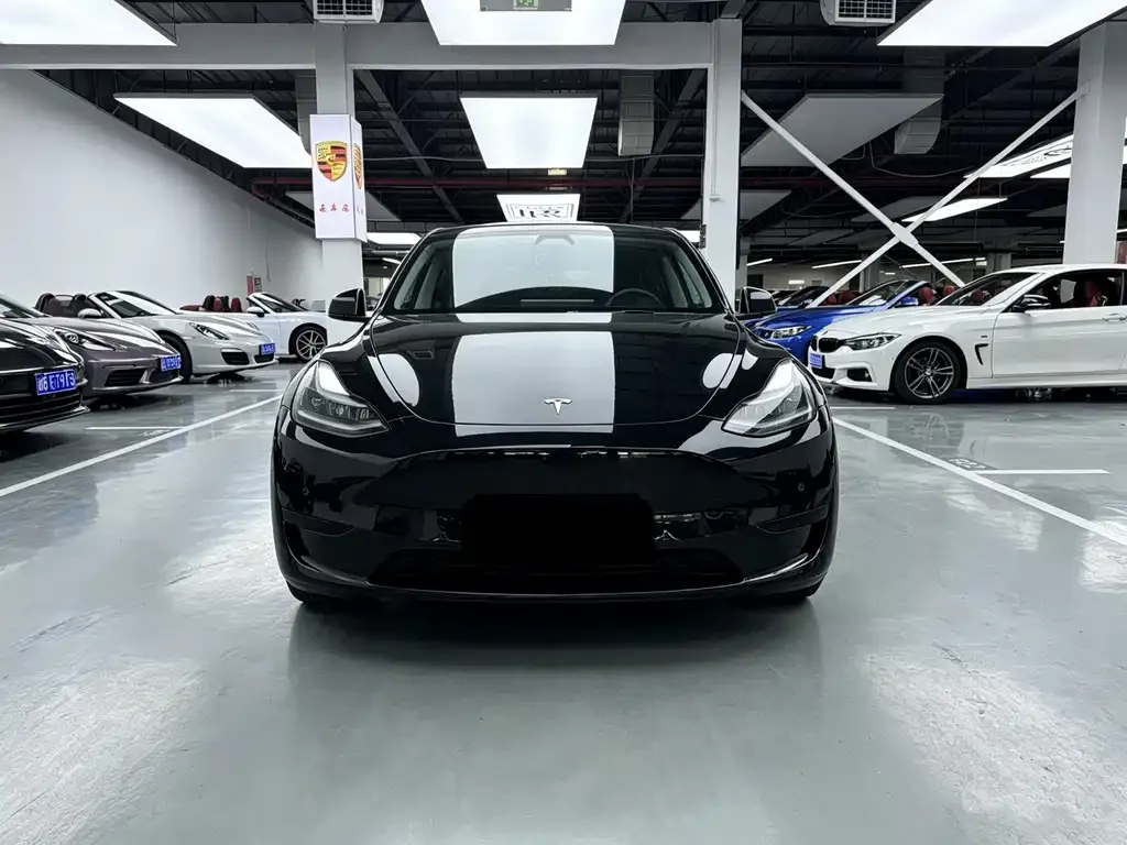 Tesla Model Y — фото 6