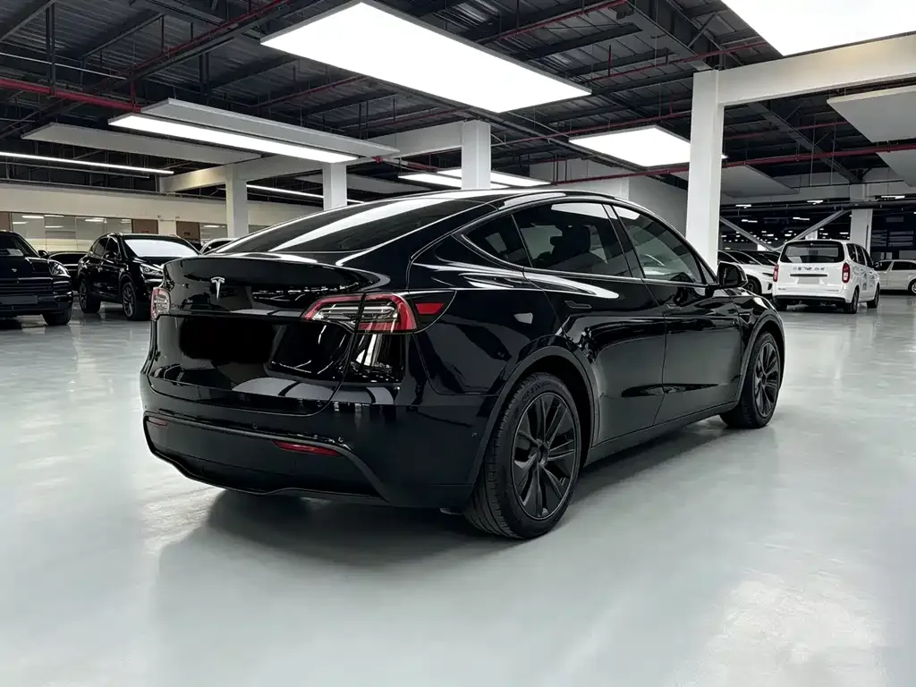 Tesla Model Y — фото 8