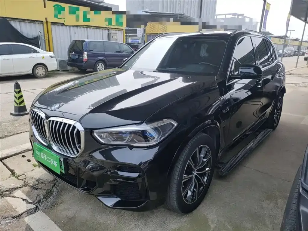 BMW X5 New Energy (Import) — фото 1