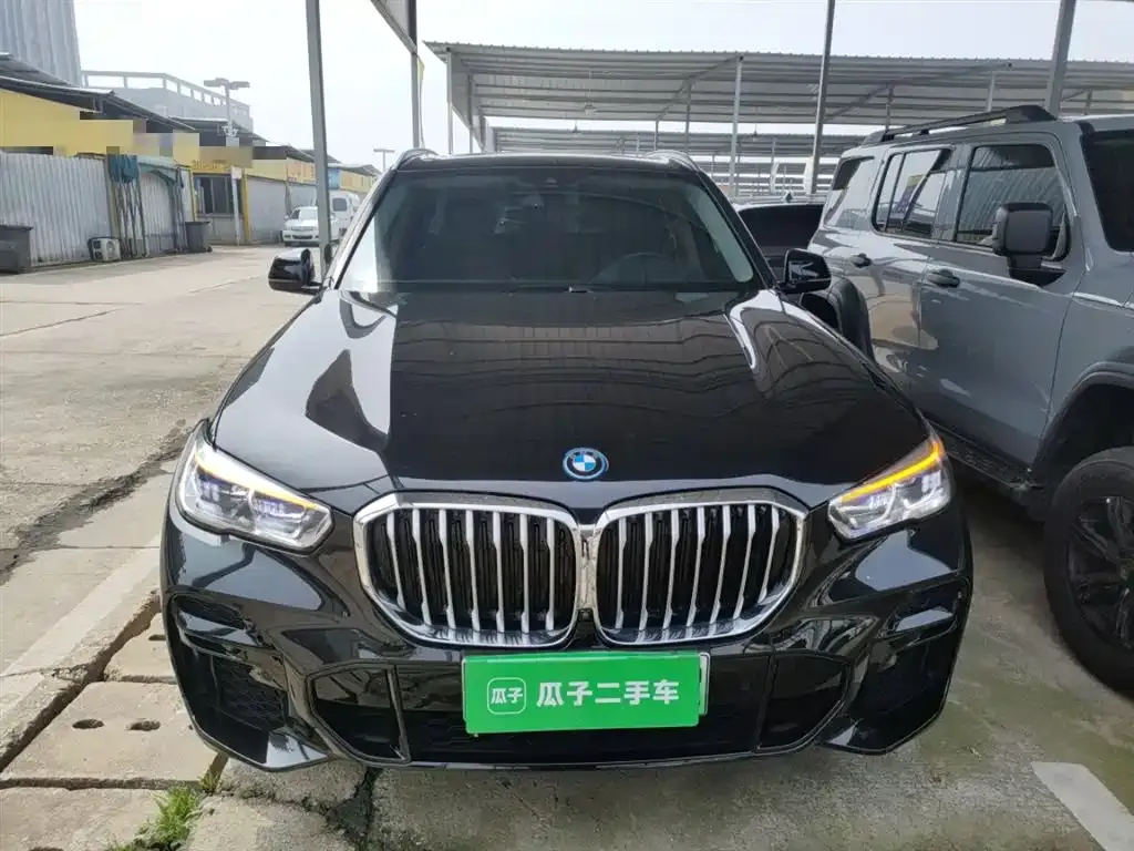 BMW X5 New Energy (Import) — фото 7