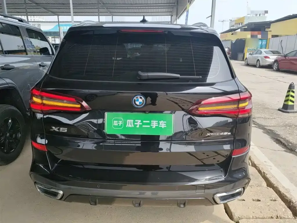 BMW X5 New Energy (Import) — фото 8