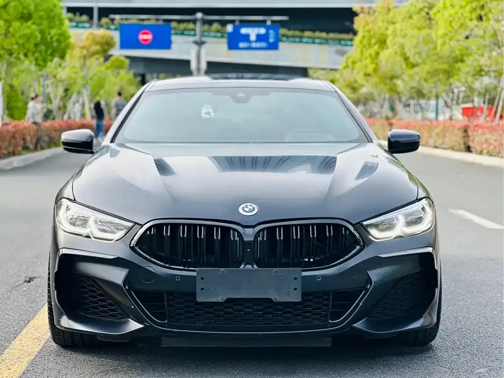 BMW 8 Series — фото 4