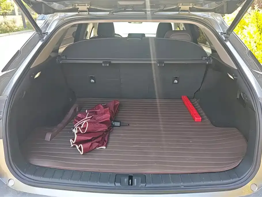 Lexus RX — фото 10