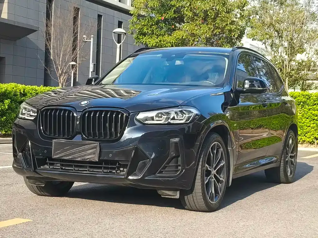 BMW X3 — фото 1