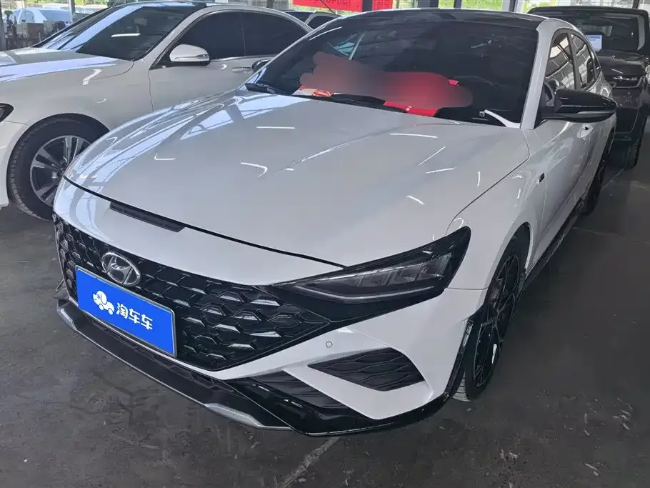 Hyundai Fista — фото 1