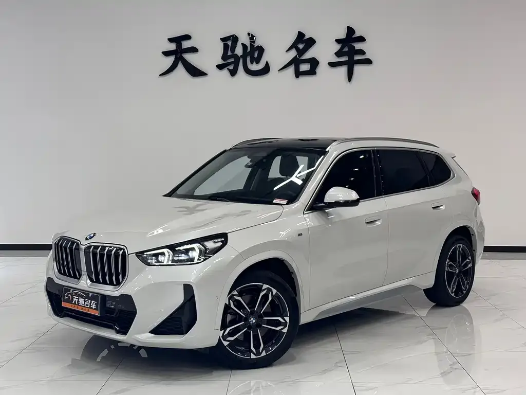 BMW X1 — фото 1
