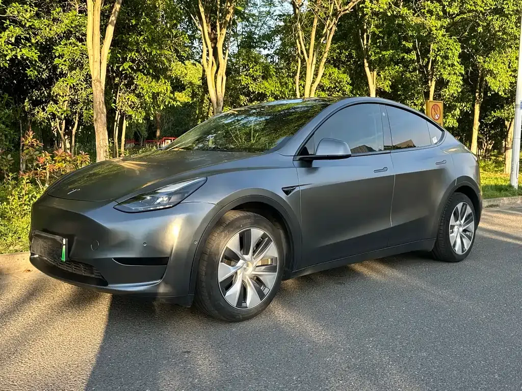Tesla Model Y — фото 1