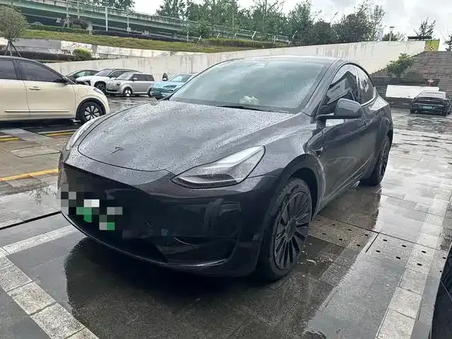 Tesla Model Y — фото 1