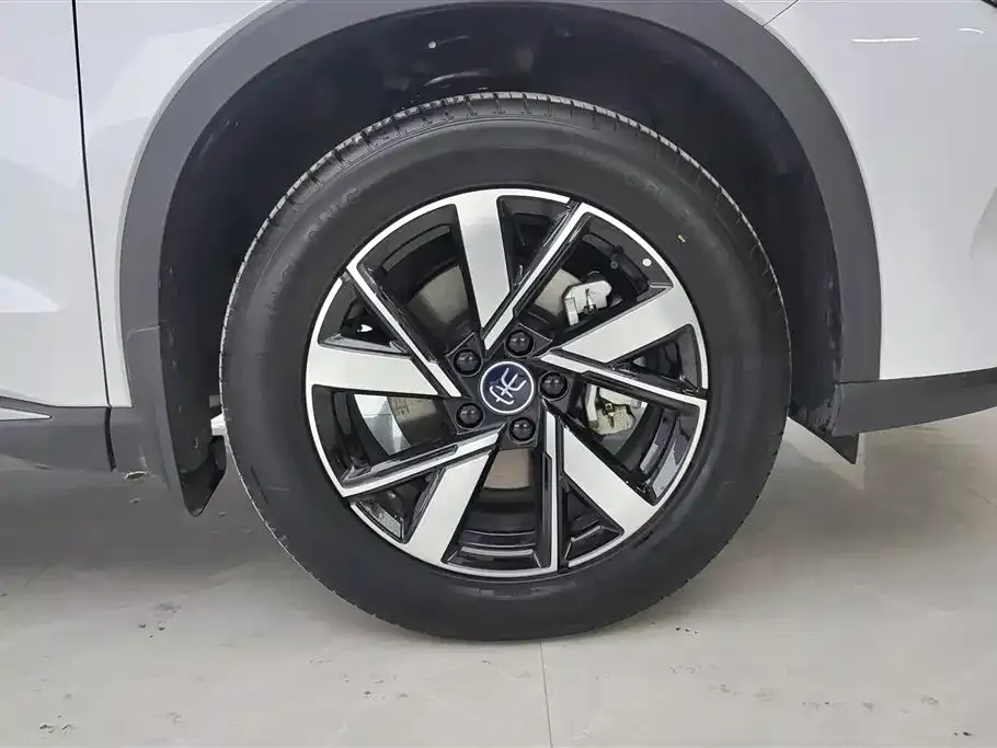 BYD Pro New Energy — фото 4