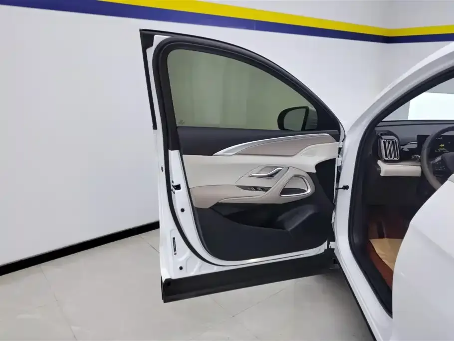 BYD Pro New Energy — фото 3