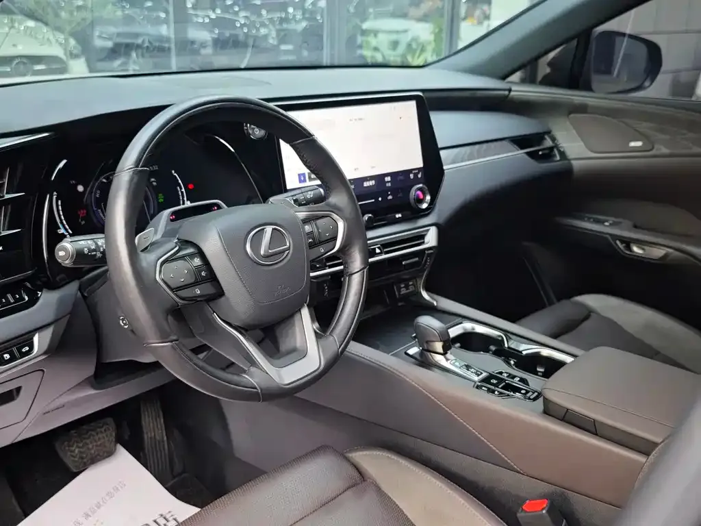 Lexus RX New Energy — фото 6