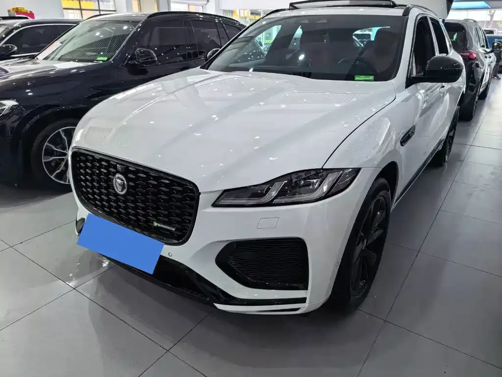 Jaguar F-PACE — фото 1